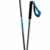 Best reviews of ⭐ Salomon Sense Ultra Foldable BK Running Poles 🛒