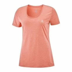 New π Salomon Agile SS Womens Running T-Shirt Sirocco/Heather/Shell π 18 New π Salomon Agile SS Womens Running T-Shirt Sirocco/Heather/Shell π -Hot Sale Salomon Shop LC1409800 L