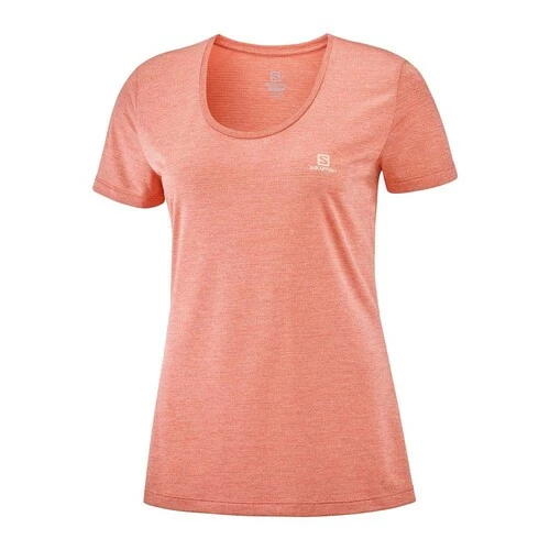 New π Salomon Agile SS Womens Running T-Shirt Sirocco/Heather/Shell π 4 New π Salomon Agile SS Womens Running T-Shirt Sirocco/Heather/Shell π - Image 4