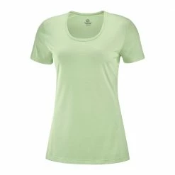 New π Salomon Agile SS Womens Running T-Shirt Sirocco/Heather/Shell π 20 New π Salomon Agile SS Womens Running T-Shirt Sirocco/Heather/Shell π -Hot Sale Salomon Shop LC1546200 L 1