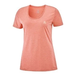 New π Salomon Agile SS Womens Running T-Shirt Sirocco/Heather/Shell π 14 New π Salomon Agile SS Womens Running T-Shirt Sirocco/Heather/Shell π - Image 14