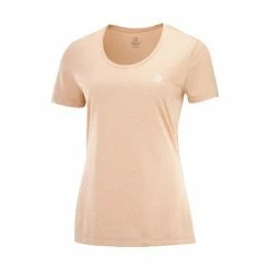 New π Salomon Agile SS Womens Running T-Shirt Sirocco/Heather/Shell π 19 New π Salomon Agile SS Womens Running T-Shirt Sirocco/Heather/Shell π -Hot Sale Salomon Shop LC1608600 L